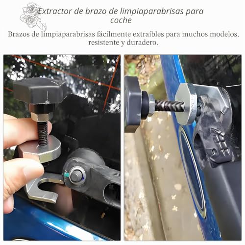 Miniatura 7 de 