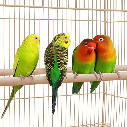 Yaheetech Double Story Flight Bird Cage with Rolling Stand Extra Space Slide-Out Tray Wood Perches for Small Birds - Image 4