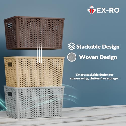 Image of TEX-RO Big Storage Box and Organiser | Storage & Organizers | Organizer Storage Box for Kitchen, Clothes | Durable Storage Basket With Lid & Plastic Basket for Storage (Pack of 3, multicolor)