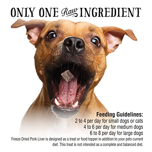 Northwest Naturals Raw Rewards Freeze-Dried Treats For Dogs And Cats – Pork Liver – Gluten-Free Pet Food, Cat Snacks, Dog Snacks – 10 Oz. #TOP3