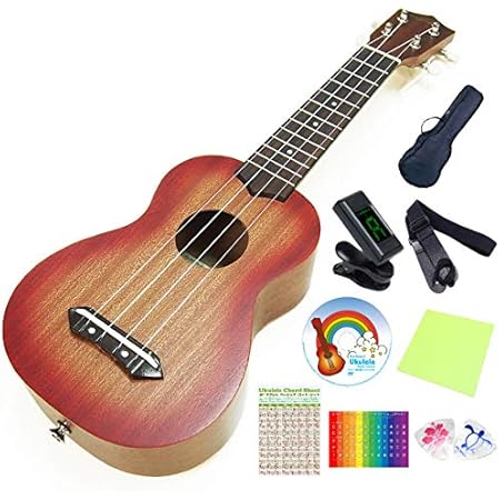 Amazon ウクレレ アリア Au 2 チェリーサンバースト ソプラノ マホガニーボディ 初心者 9点 セット Aria 甘い音色のマホガニー Ebisoundオリジナル エンドピン付 U ウクレレ 楽器 音響機器