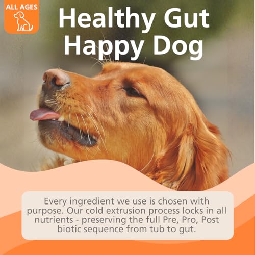 Leo's (120chews) Probiotic for Dogs chews | Natural Dog Probiotic Supplements | Pro Biotics for Gut Health Dog | Pre Pro and Post Biotic dog treats | Gut Health, Anal Glands, Grass-Eating, Itchy Ears - Image 6