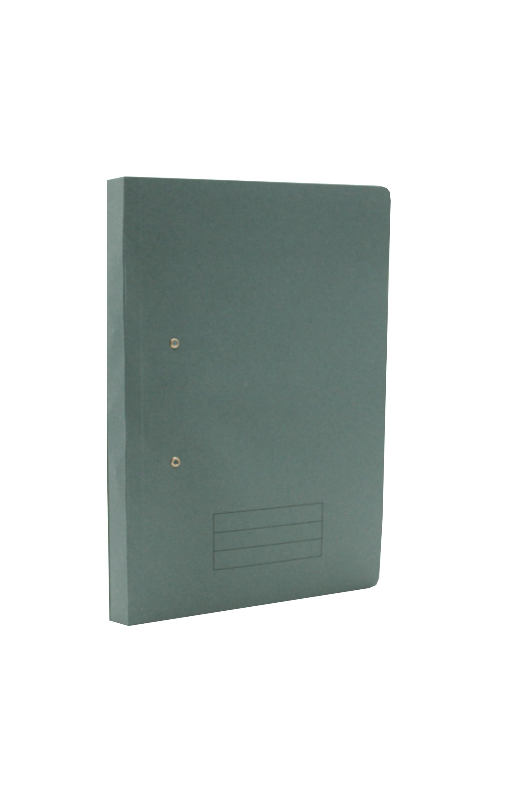 Exacompta TFM-BLUZ Guildhall Spiral File - Blue