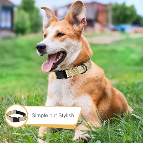 HEELE Hundehalsband, Hundehalsband aus Nylon, Reflektierend Halsband Hund mit Weich Neopren Gepolstert für Welpen Kleine Mittel Große Hunde Läng Einstellbereich 26-38cm, Sandbraun, S