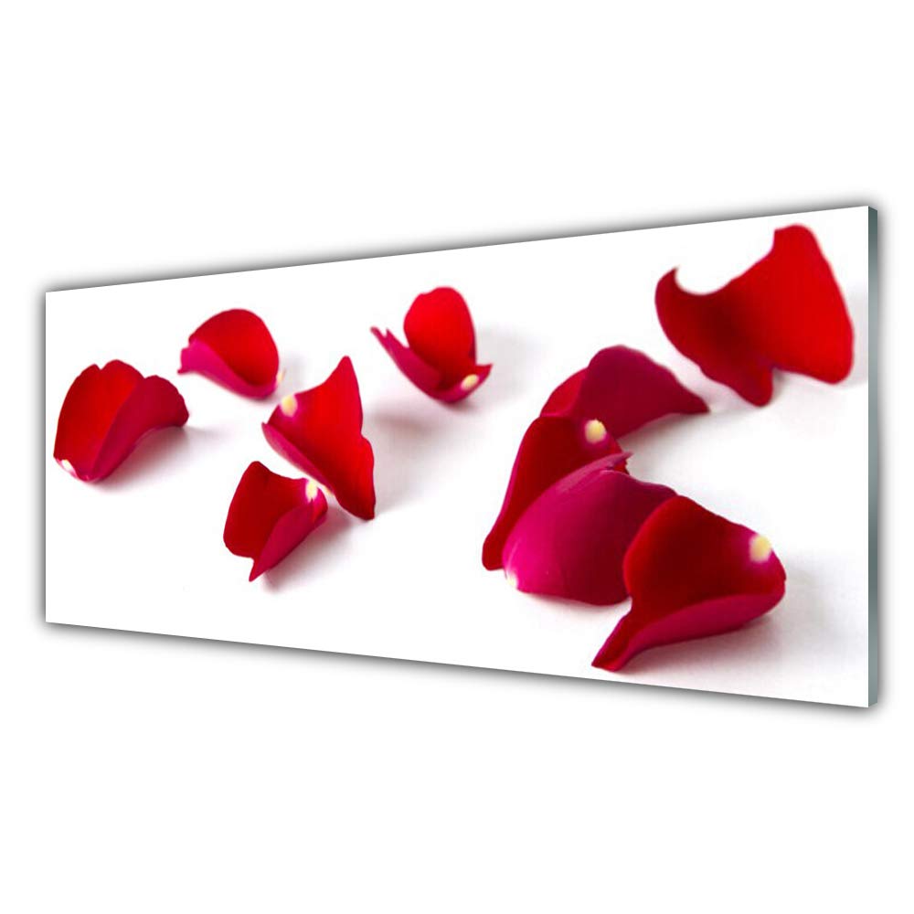 Plastique imprimés haut de gamme Tulup et tableau en verre acrylique 125x50cm