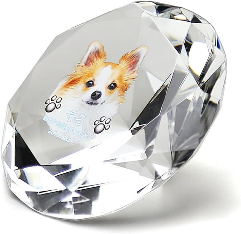 ダイヤペット ニュークラウン 日本航空 1/40 Amazon.co.jp: ヨネザワ