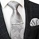 JEMYGINS Herren Paisley Krawatten set mit Krawattenklammer und Einstecktuch,Silber