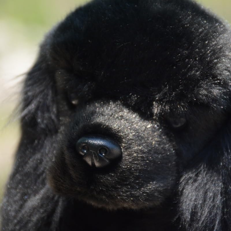 Amazon.co.jp: リアルなコッカースパニエル人形かわいい黒犬ぬいぐるみ