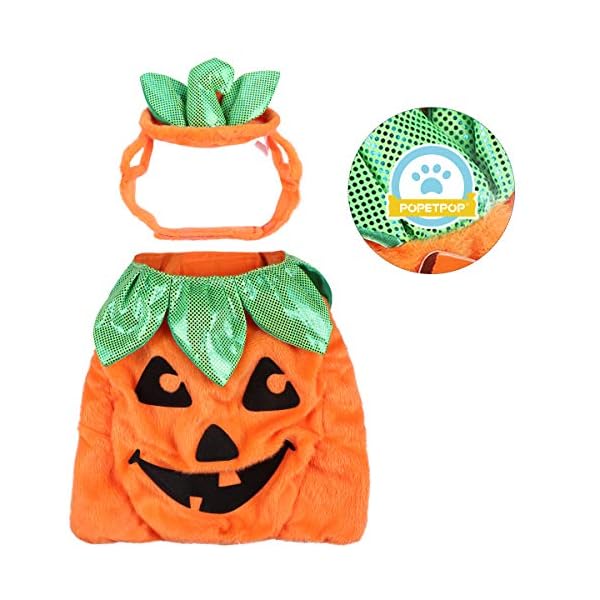 Popetpop cat pumpkin costume-halloween cat costume suits clothes hatdress headbands festival pumpkin costumes for dogs cats - image 3