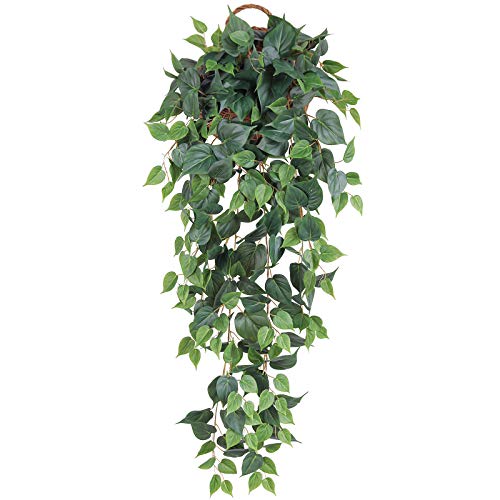 Hawesome Scindapsus Guirlande de Lierre Artificiel ¨¤ Suspendre pour d¨¦coration de Jardin Cover