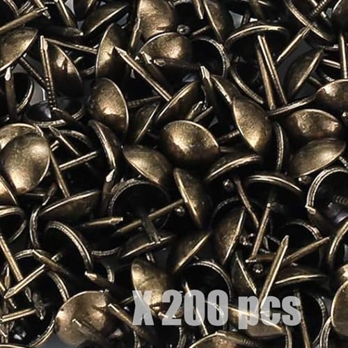 B͂ȑxbg\t@CB 200 ƒpƋCȒPɑxbgCXg[