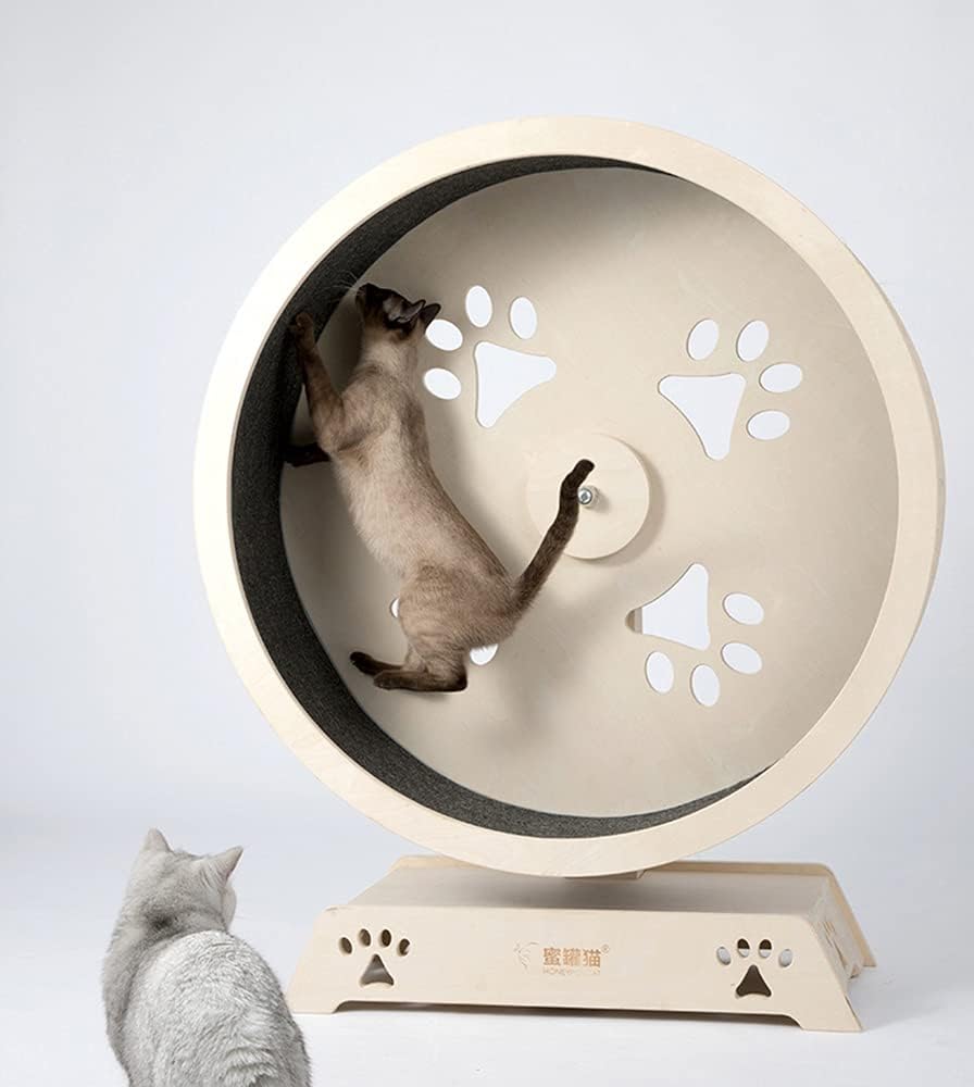 3冊セットポーズブックact大槻ひびきmodel唯井まひろ 田野優