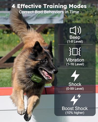 Jugbow DT-612 Dog Shock Collar 2 Dogs (10-120Lbs) - 3300Ft Dog Training Collar With Remote Ipx7 Waterproof Electric Collar thumb #1