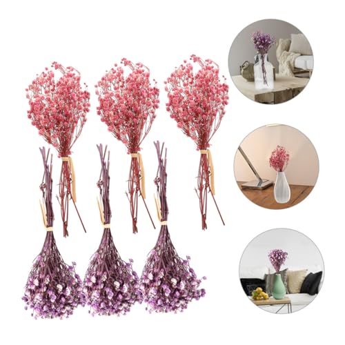 Set 6 Mini Ramos de Flores Secas Babys Breath miniatura 5