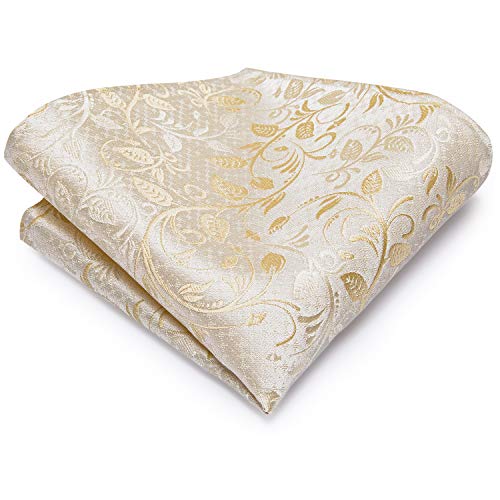 Hi-Tie Champagne Mens Necktie Floral Silk Tie Pocket Square Cufflinks Set Wedding #TOP2