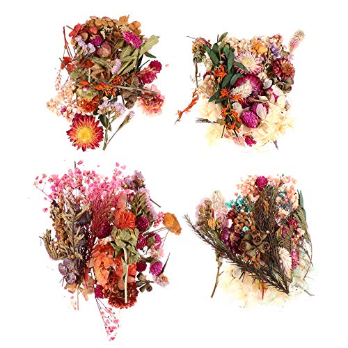 HEALLILY 4 Unidades de Flores Secas Naturais Flores Secas Diy Flores Secas Naturais para Presente de