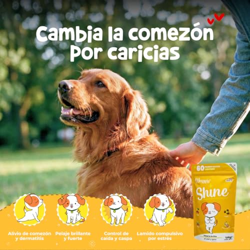 El Mejor Listado de Shine para comprar hoy. 8 Imagen adicional