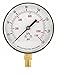 Pressure Gauge, Test, 3-1/2 In