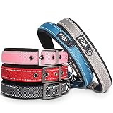 Fida Heavy Duty Dog Collar, Ultra Comfortable Soft Neoprene Padded, Adjustable Reflective Nylon Pet Collar with Durable Metal Belt Buckle for Small Breeds (S, Blue)