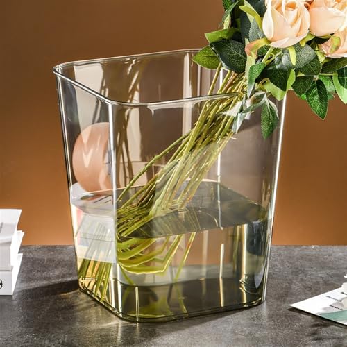 Bocal poissons compact et transparent pour petit espace et studio