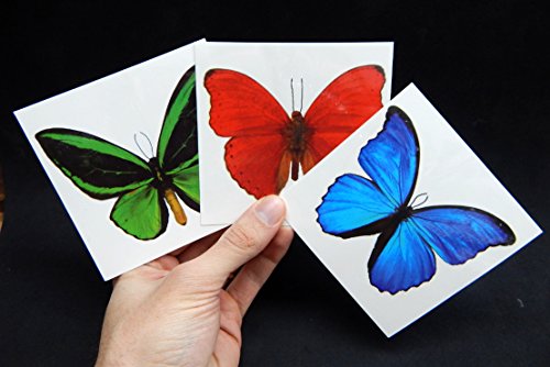 Large Butterfly Temporary Tattoos By Butterfly Utopia (12 Sheets) #TOP5