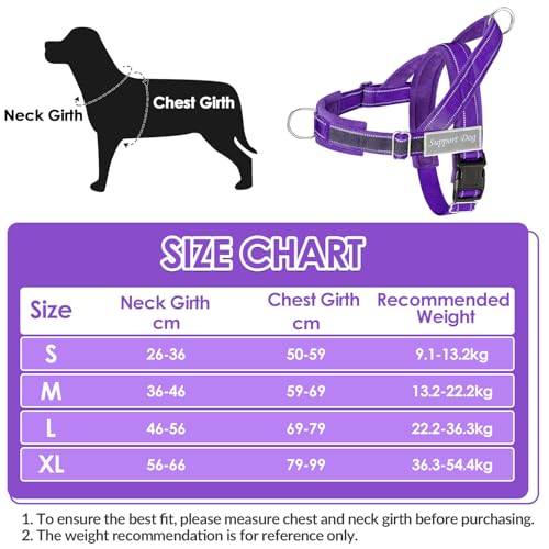 Eyein No Pull Harness for Dogs - Heavy Duty Soft Padded Pet Vest and Lead Set for Medium Large Dog, Adjustable Reflective Anti-pull with Front Clip for Walking Training(Purple,M)