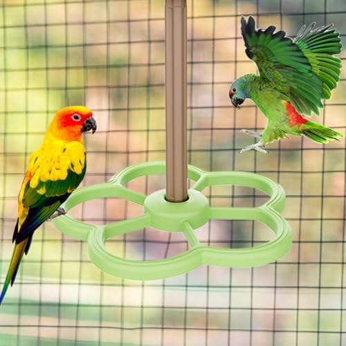 Biniveil p~܂ | IE܌ - p V L ~܂ ӃP[W tB` IE CR u`E RSECR IJCR