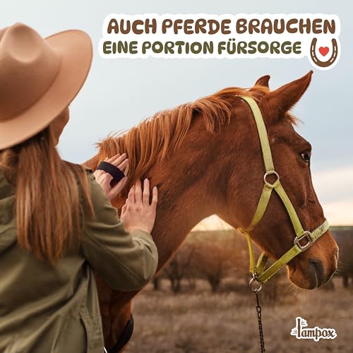 Fellbürste, Hundebürste, Tierbürste, Hundehaarbürste, Premium Bürste für Hund & Katze zur sanften Fellpflege, Striegel für Hunde & Katzenbürste, Hundekamm mit Massage-Effekt, Haustierbürste