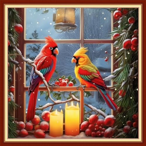 Image of Findvoor Stamped Cross Stitch Kits for Beginners Full Range of Cross Stitching Embroidery Pattern for Adults, 11CT DIY Needlepoint Embroidery Starter Kits-Christmas Bird 17.7x17.7 inch
