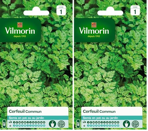 Vilmorin 3235044 Cerfeuil commun, Vert, 90 x 2 x 140 cm (Lot de 2)