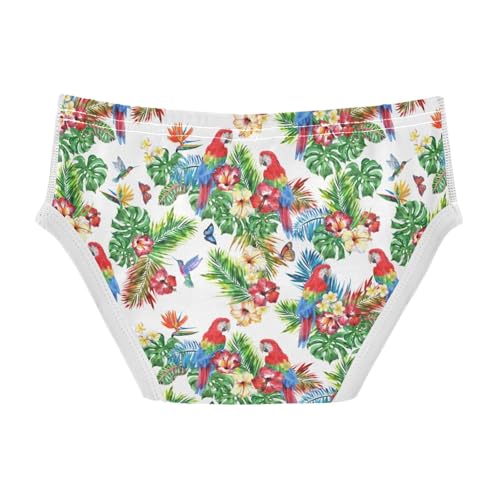 visesunny Boys Potty Training Underwear Parrot Tropical Palm Floral Breathe Cotton Briefs Size 2T-8Y for Toddler2