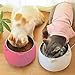 Fressnäpfe für Katzen,Futternäpfe Katzenfutter,Katzennapf Erhöht,Hundenapf rutschfest,Katzennapf Set,15°Geneigte Plattform,für Katze Welpe Futter und Wass,Herausnehmbarem Edelstahlnapf 200ML