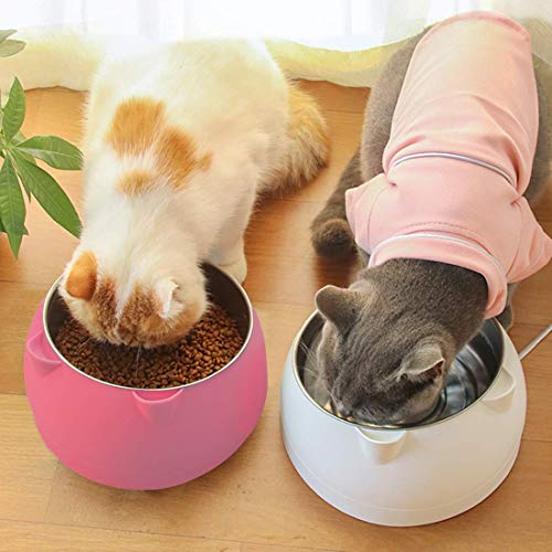 Fressnäpfe für Katzen,Futternäpfe Katzenfutter,Katzennapf Erhöht,Hundenapf rutschfest,Katzennapf Set,15°Geneigte Plattform,für Katze Welpe Futter und Wass,Herausnehmbarem Edelstahlnapf 200ML