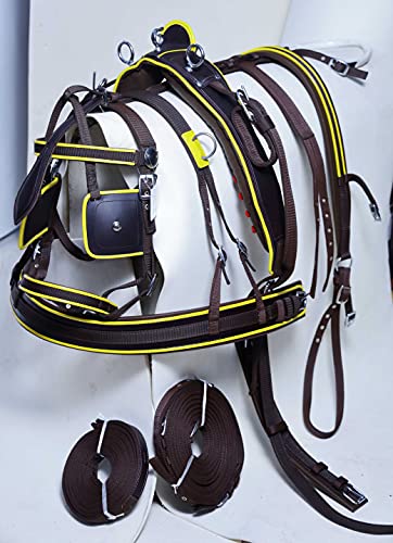 Aces Equine Harnais de conduite en nylon pour cheval Marron Taille complète Cover