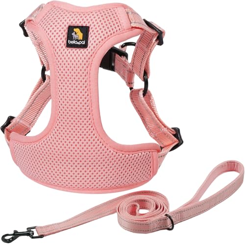 BELLA & PAL Hundegeschirr und Leine Set, Step-in Design mit atmungsaktivem Air-Mesh, reflektierenden Streifen, verstellbar für XS/kleine/mittelgroße Hunde, sicherer Schnallenverschluss