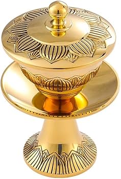 51aJWUgWnqL._AC_UF350,