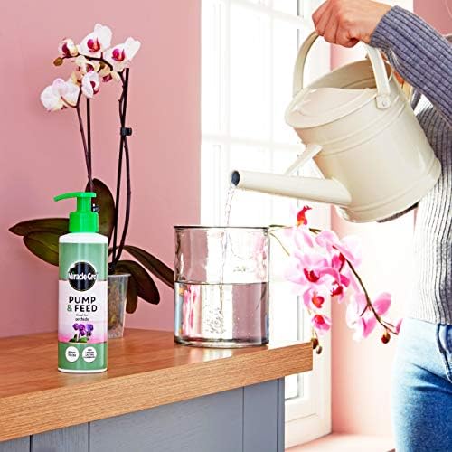 Miracle-Gro 119898 Pump & Feed' All Purpose Orchid Plant Food, 200 ml, Clear