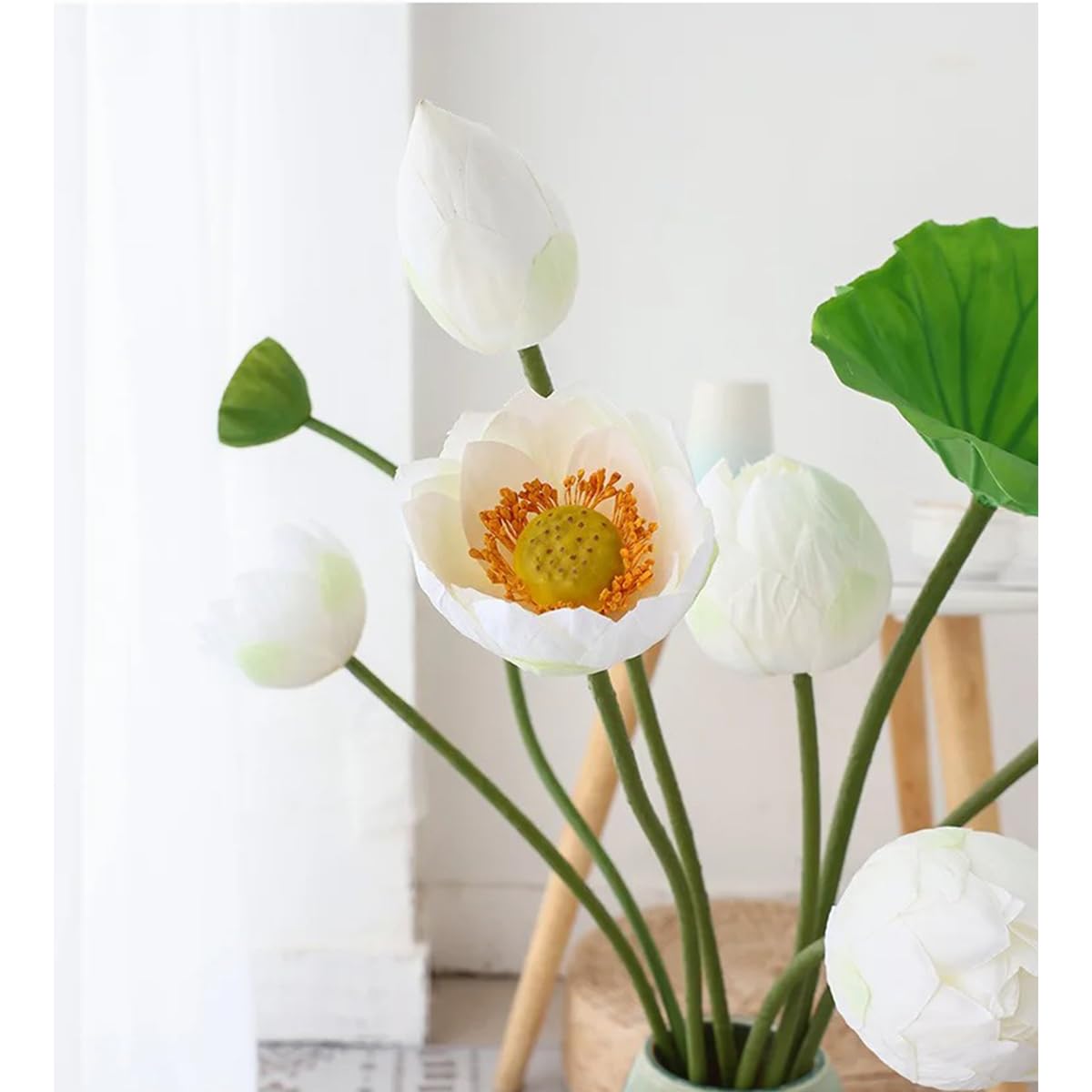 【水蓮の花びら】【ドイツ語】【FBB】【4枚セット】 水蓮の花びら】【ドイツ語】【FBB】【4枚セット】 水蓮の花びら