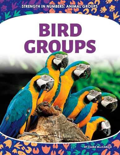 Bird Groups (Strength in Numbers: Animal Groups)