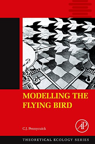 Modelling the Flying Bird Livre PDF Gratuit