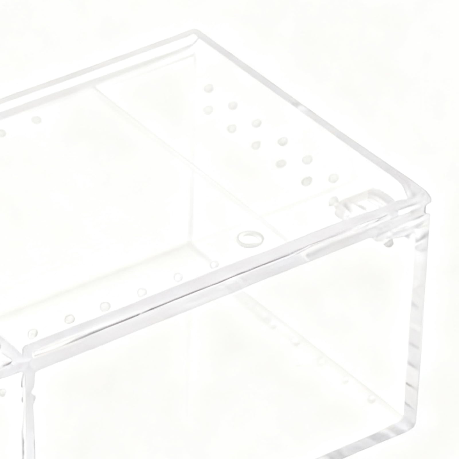 Hábitat para Araña Saltarina,Recipiente Transparente para Crianza y Alimentación | Recinto Para Serpientes de Acrílico | Para Reptiles Lagartija Serpiente Tortuga Rana Gecko Ermitaño y Contenedor para — view 6