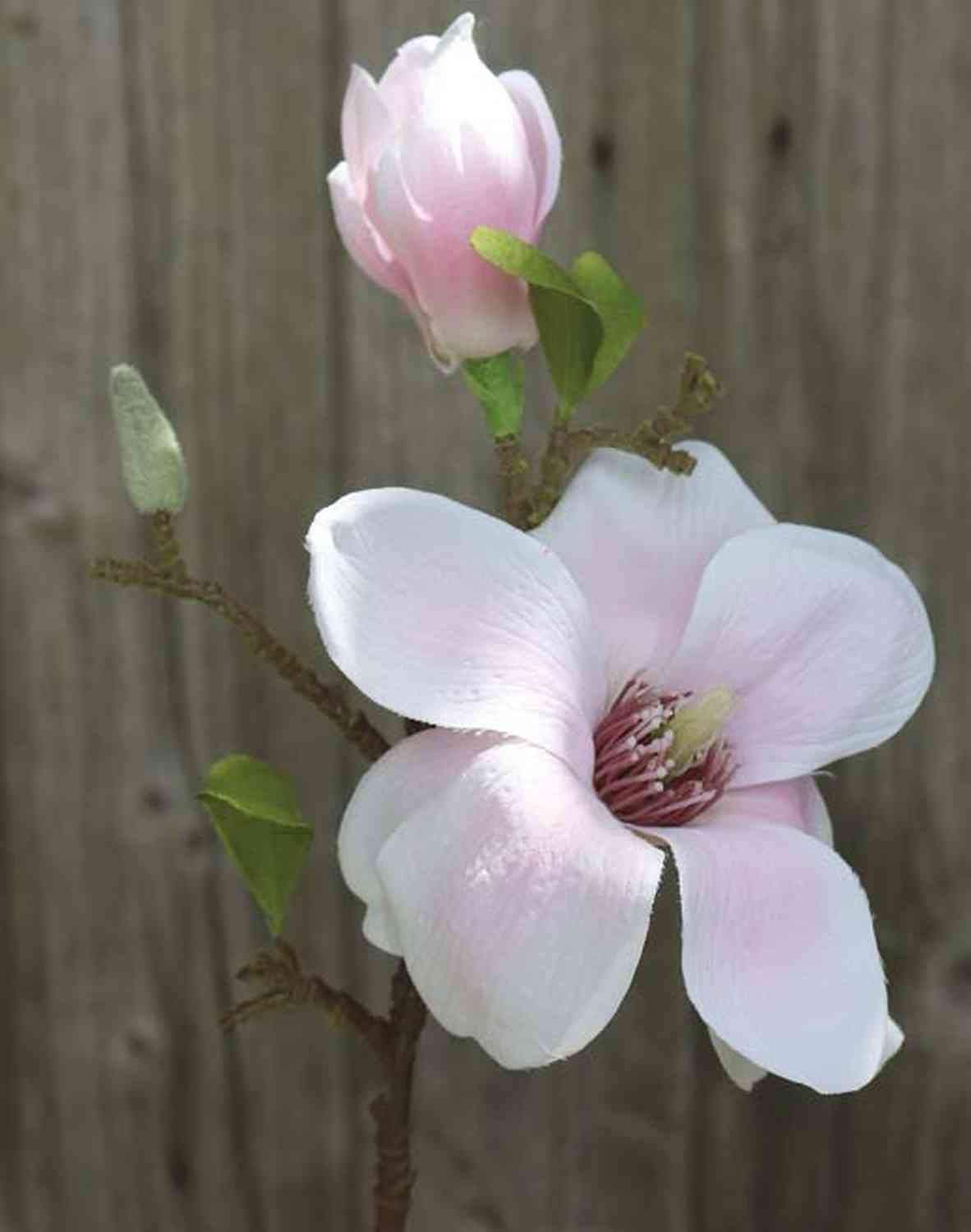 Pianta artificiale senza vaso Magnolia colore bianco e rosa H 25 | Leroy Merlin