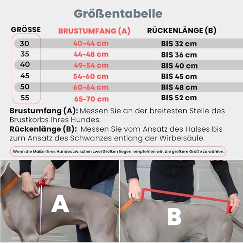 DOGOPAL Regenmantel Hund mit Integriertem Geschirr – Wasserdichter Hunderegenmantel, Winddichter Hundemantel, Reflektierende Regenjacke für Kleine & Große Hunde, Hohe Sichtbarkeit (Grau, 30)