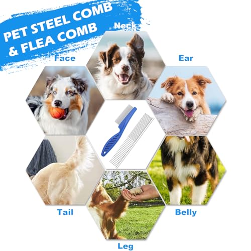 7PCS-Dog-Grooming-Kit-Deshedding-Dog-Brush-Dog-Pin-Brush-Flea-comb-for-dogs-metal-comb-Bath-Brush-Dog-Nail-Clipper-and-Nail-File-Dog-Brush-Set-for-Small-Medium-and-Large-Dogs-Blue - Cucciolini Doodles   7PCS-Dog-Grooming-Kit-Deshedding-Dog-Brush-Dog-Pin-Brush-Flea-comb-for-dogs-metal-comb-Bath-Brush-Dog-Nail-Clipper-and-Nail-File-Dog-Brush-Set-for-Small-Medium-and-Large-Dogs-Blue