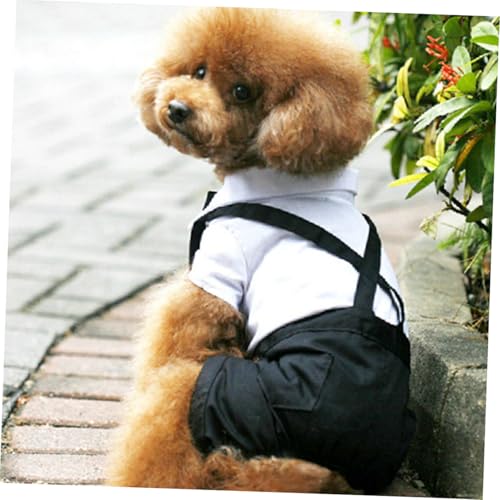 Disfraz formal para perro XXL con pajarita y tirantes miniatura 3
