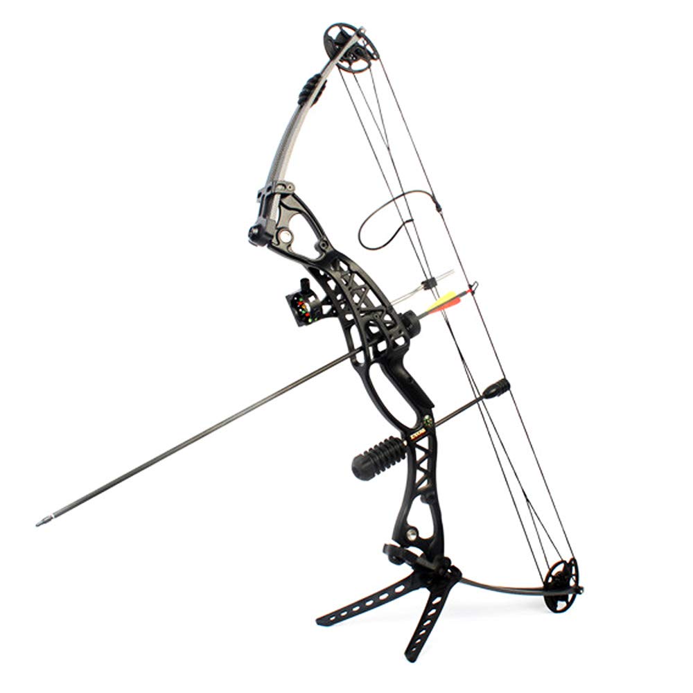 Amazon.co.jp: ZSHJGJR コンパウンドボウ アーチェリー 弓 40