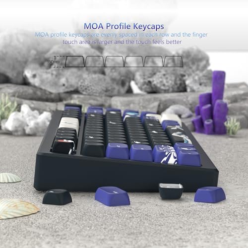 Image of Womier PBT Black Keyboard Keycaps, Japanese MOA Keycaps Set | Mechanical Keyboard Caps, Cute Custom Dye-Sublimation Keycap for 60 65 75 100 Percent, Kanagawa