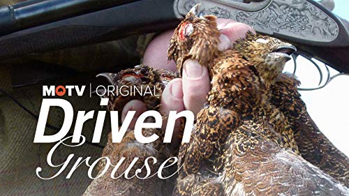 Driven Grouse