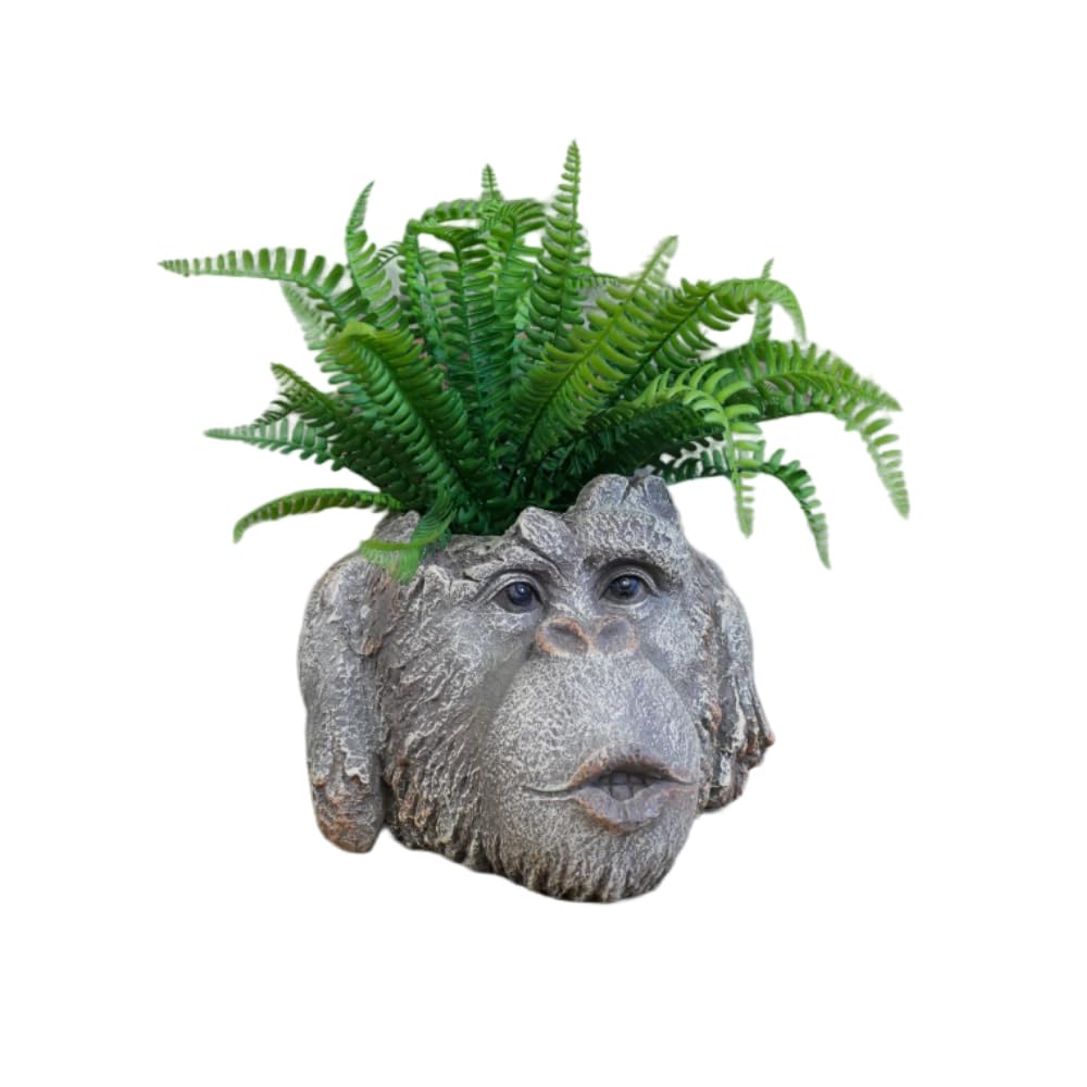 Gifts Direct 2 U Decorative Plant Pot Resin Monkey Head Planter Hear No Evil Animal Design Home Decoration