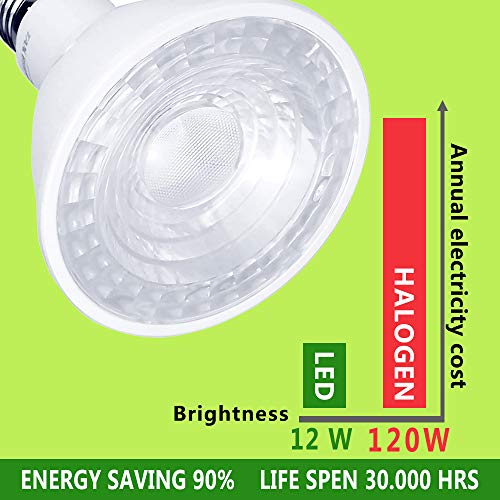 Par30 Led Light Bulbs 5000K Natural Daylight Dimmable, E26 Led Bulb Base 12W (120Watt Equivalent) Recessed Lighting, Outdoor Led Flood Light Bulbs Indoor, Energy Saving Light Bulbs Efficient (6 Pack) #TOP3